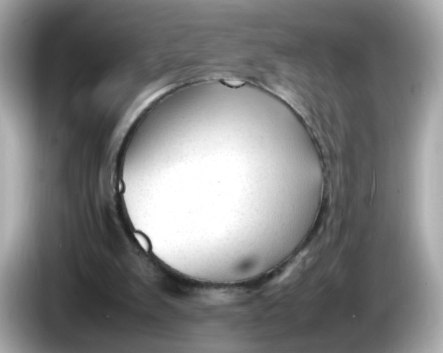 X0000086060103200704091235