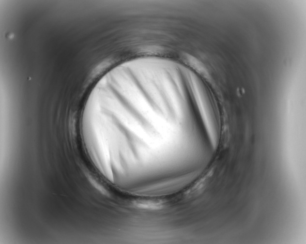 X0000086060106200704091235