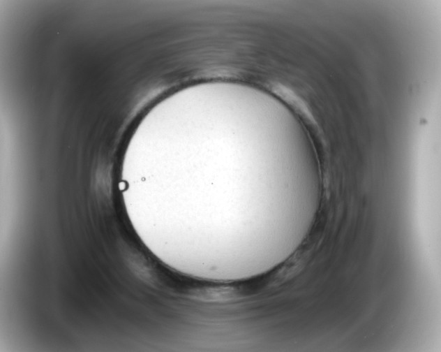 X0000086060108200704091235