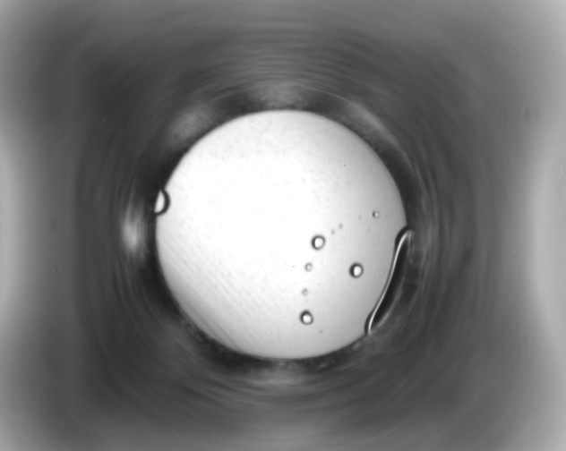 X0000086060124200704091235