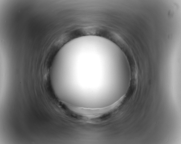 X0000086060125200704091235