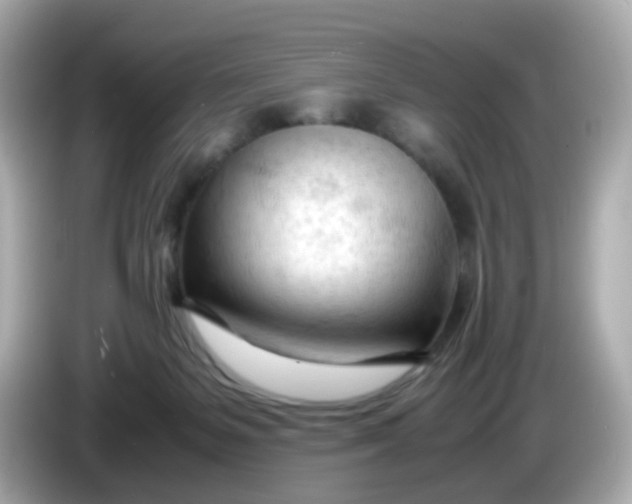 X0000086060127200704091235