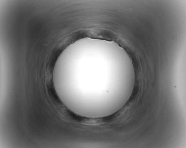 X0000086060129200704091235