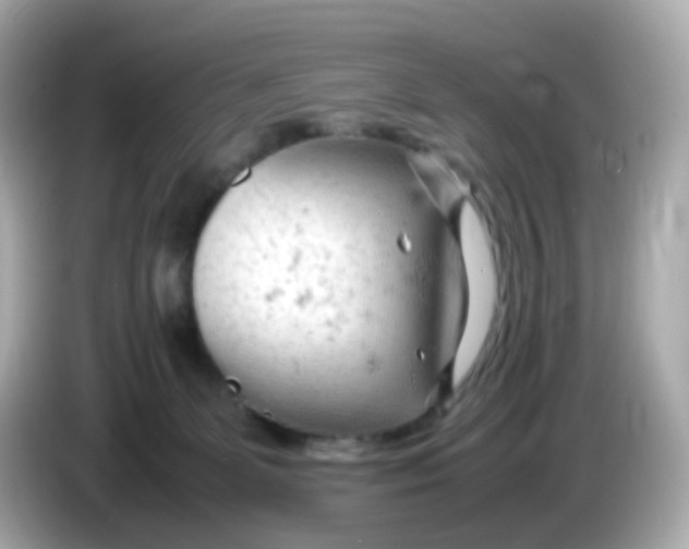 X0000086060131200704091235