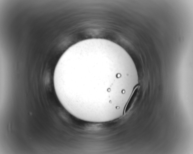 X0000086060132200704091235