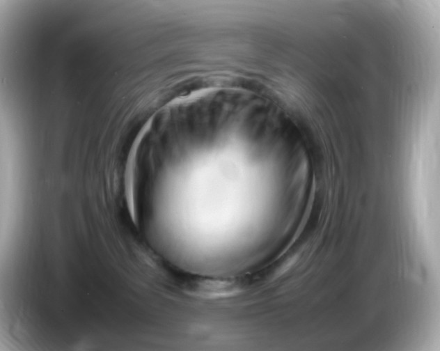 X0000086060139200704091235