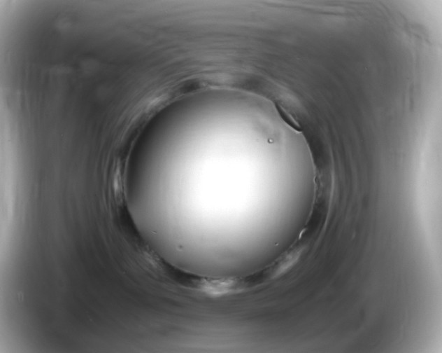 X0000086060143200704091235