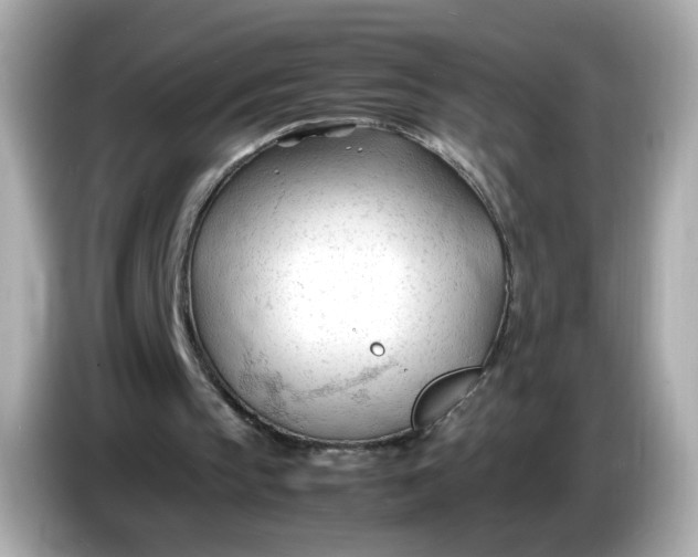 X0000086060145200704091234