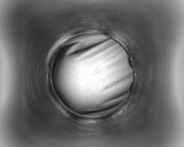 X0000086060149200704091234