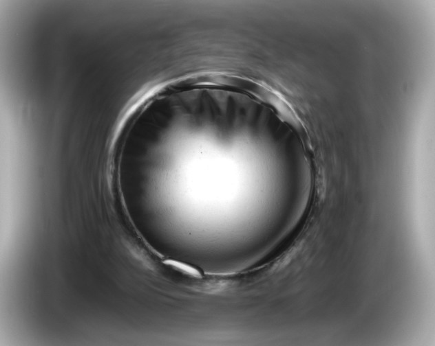 X0000086060152200704091234