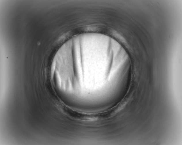 X0000086060161200704091234