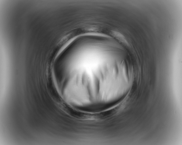 X0000086060167200704091234