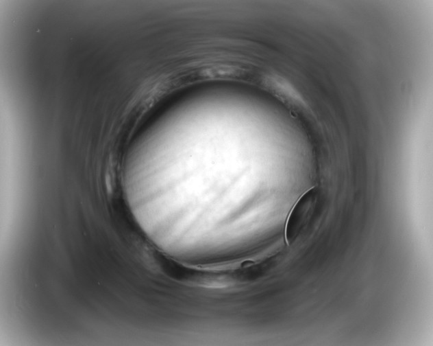 X0000086060169200704091234