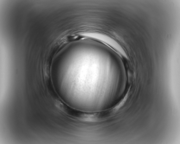 X0000086060170200704091235