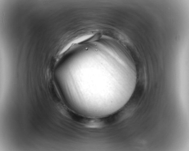 X0000086060173200704091235