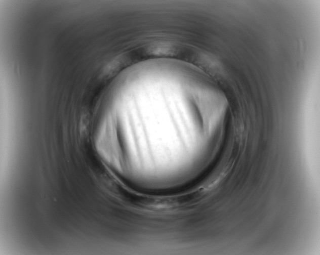 X0000086060175200704091235