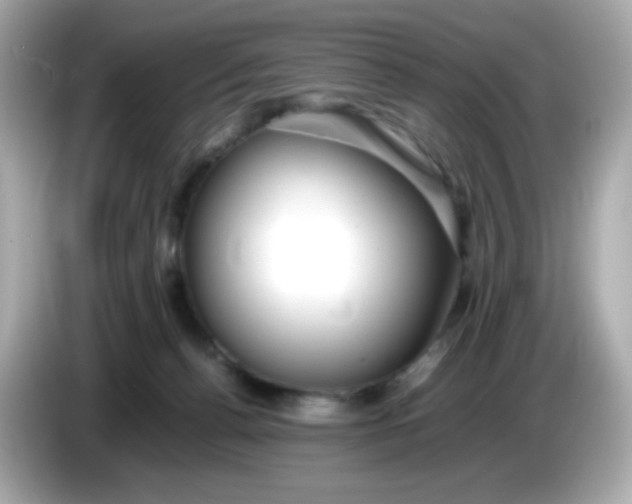 X0000086060176200704091235