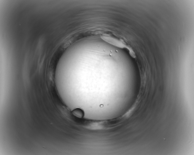 X0000086060178200704091235