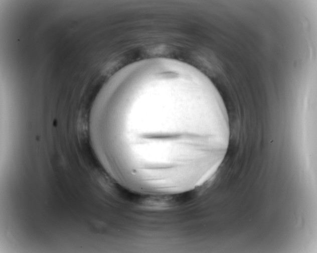 X0000086060179200704091235