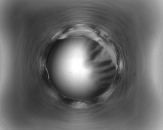 X0000086060180200704091235