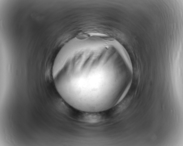 X0000086060185200704091235