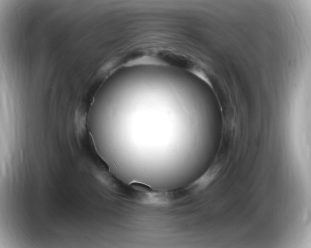 X0000086060188200704091235