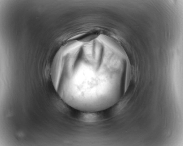 X0000086060189200704091235