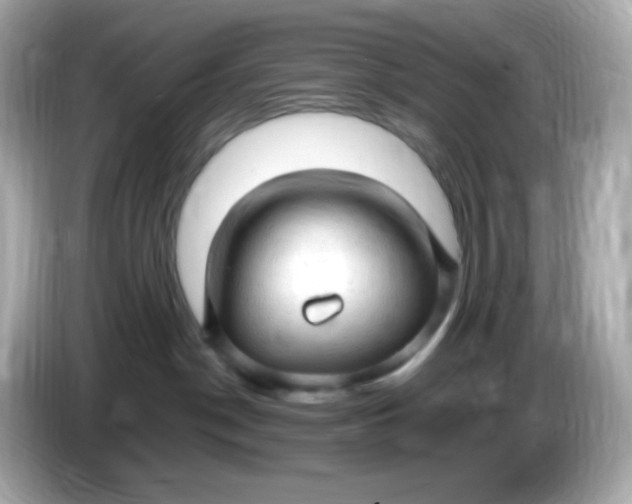 X0000086060190200704091235