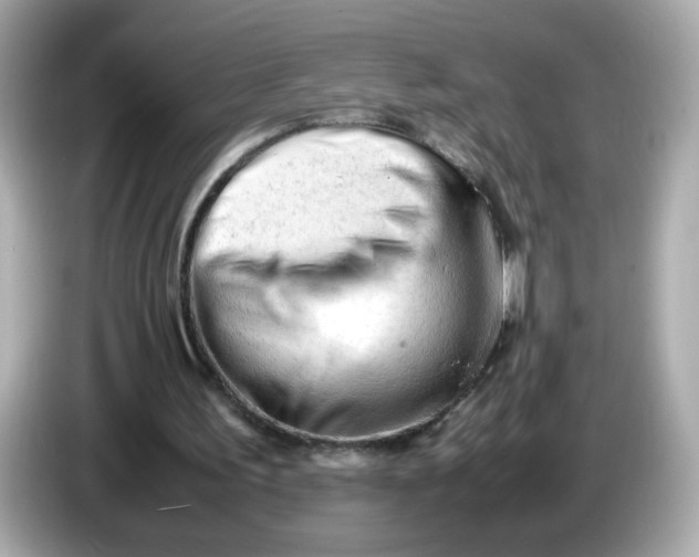 X0000086060195200704091234