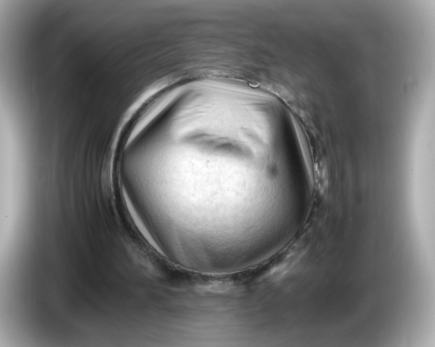 X0000086060196200704091234