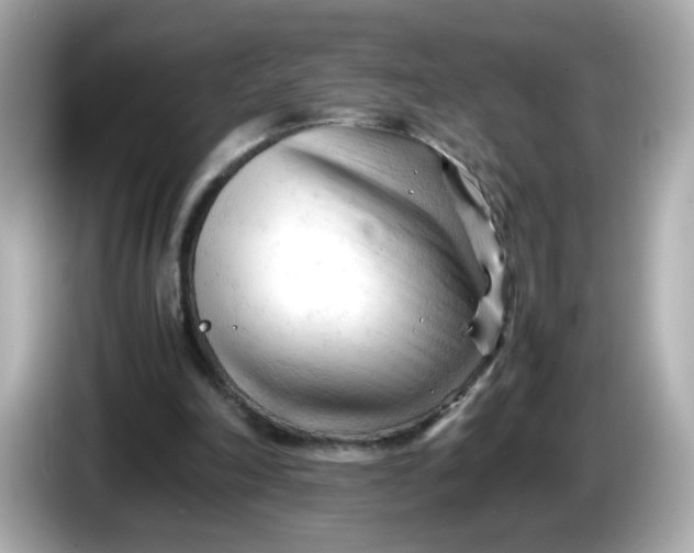 X0000086060198200704091234