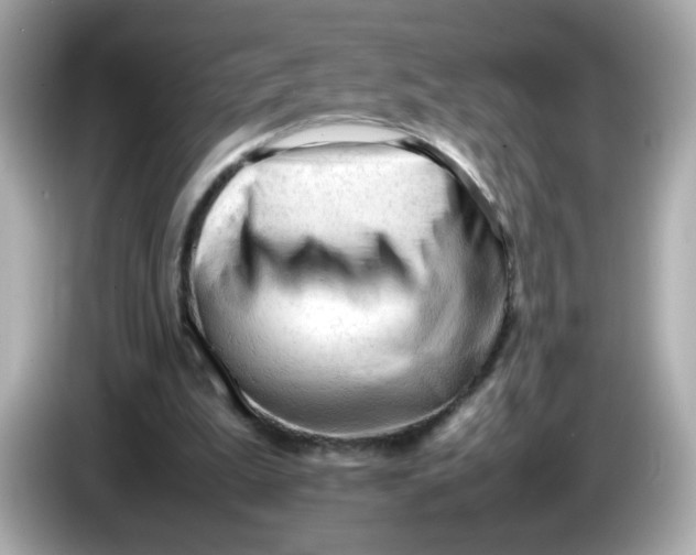 X0000086060199200704091234