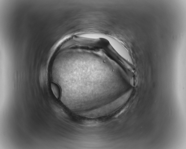 X0000086060200200704091234