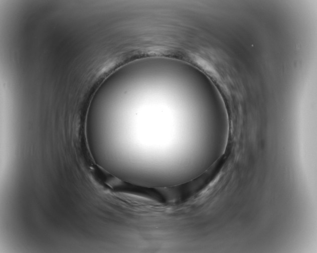 X0000086060201200704091234