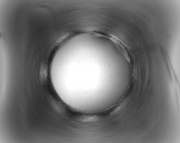 X0000086060206200704091234