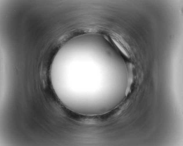 X0000086060209200704091234