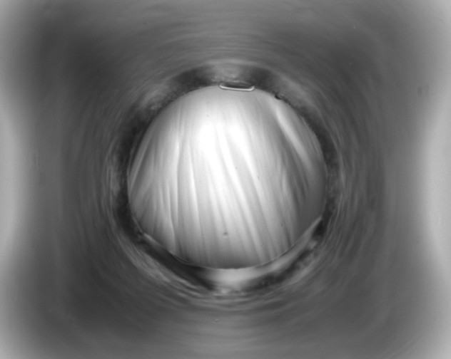 X0000086060215200704091234