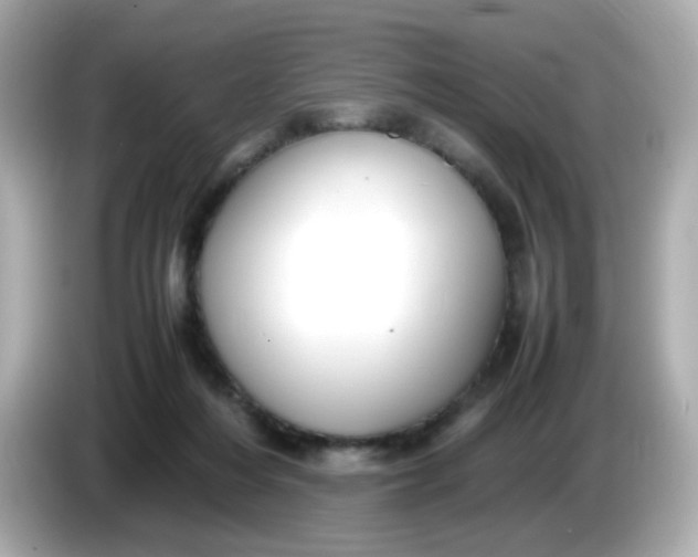 X0000086060216200704091234