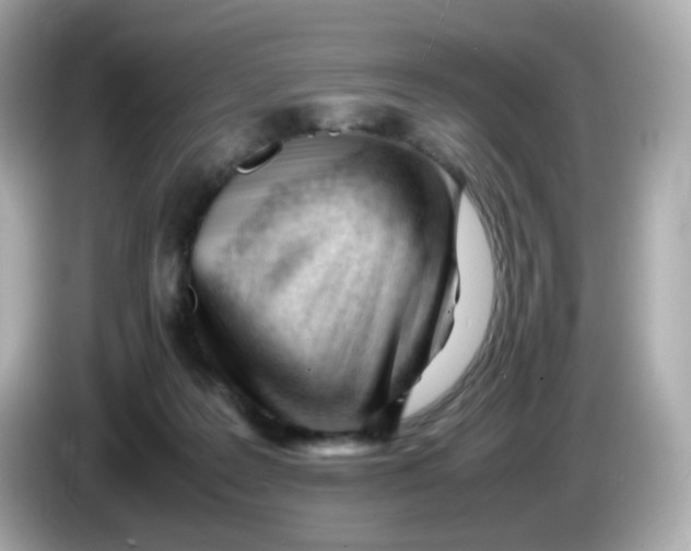 X0000086060219200704091234