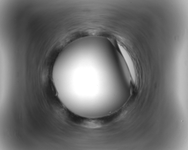 X0000086060221200704091234