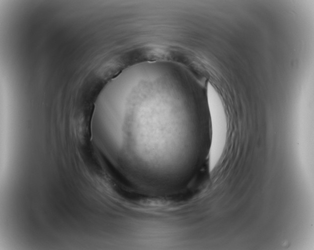 X0000086060223200704091234