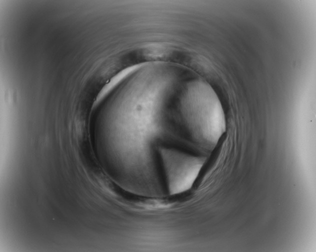 X0000086060227200704091234