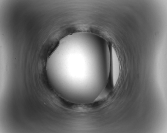 X0000086060229200704091234