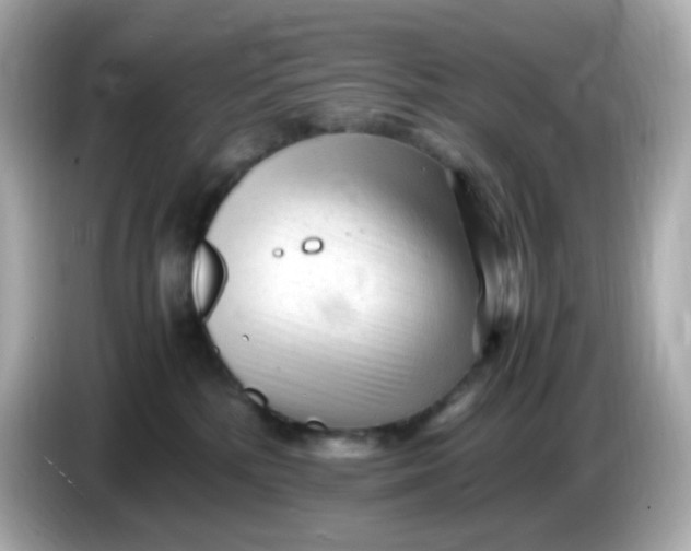 X0000086060232200704091234