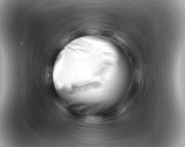 X0000086060234200704091234