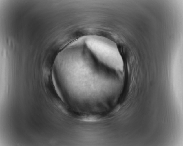 X0000086060235200704091234