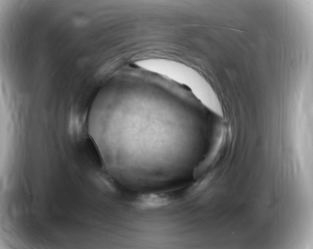 X0000086060239200704091234