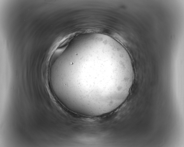 X0000086060241200704091233