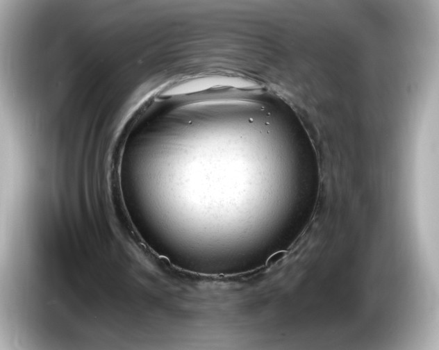 X0000086060242200704091233