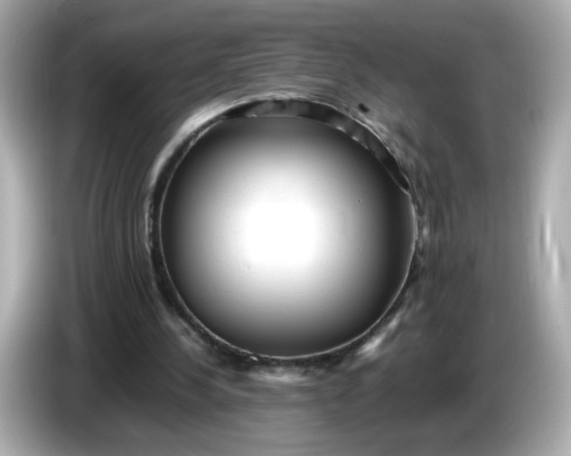 X0000086060244200704091233